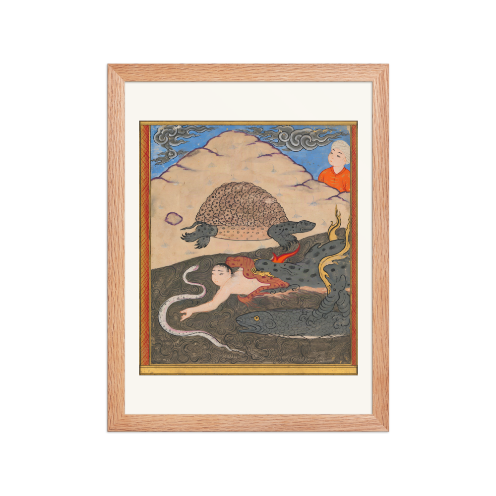 The Tortoise — Wonders of Creation — view 2
