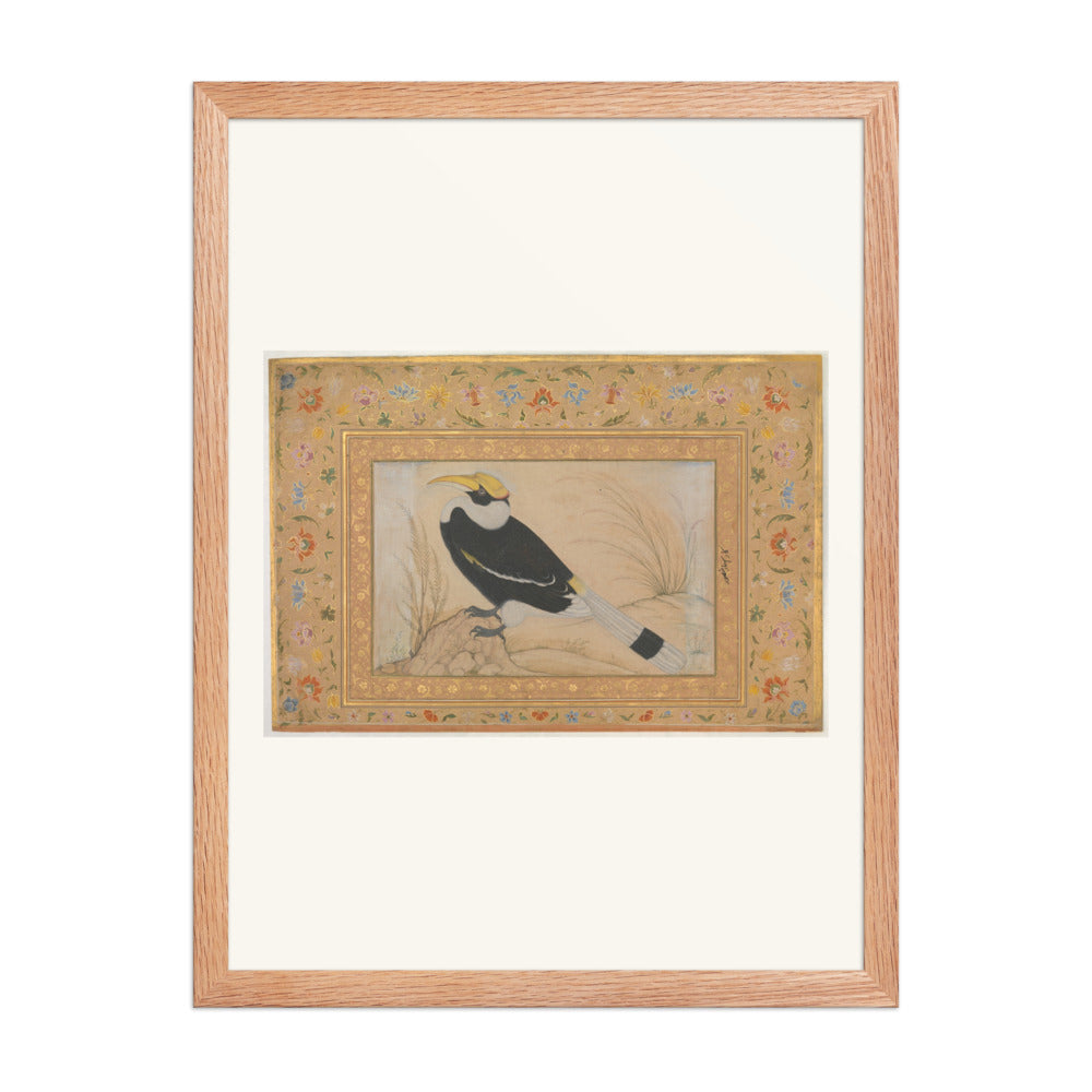 Great Hornbill — Shah Jahan Album Folio | Restored Mughal Wall Art — view 3