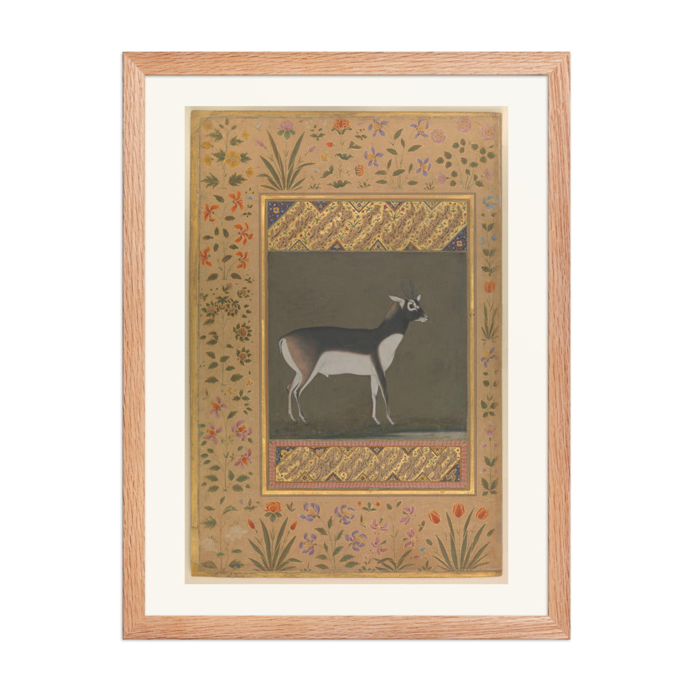 Black Buck — Shah Jahan Album Folio | Restored Mughal Wall Art — view 3