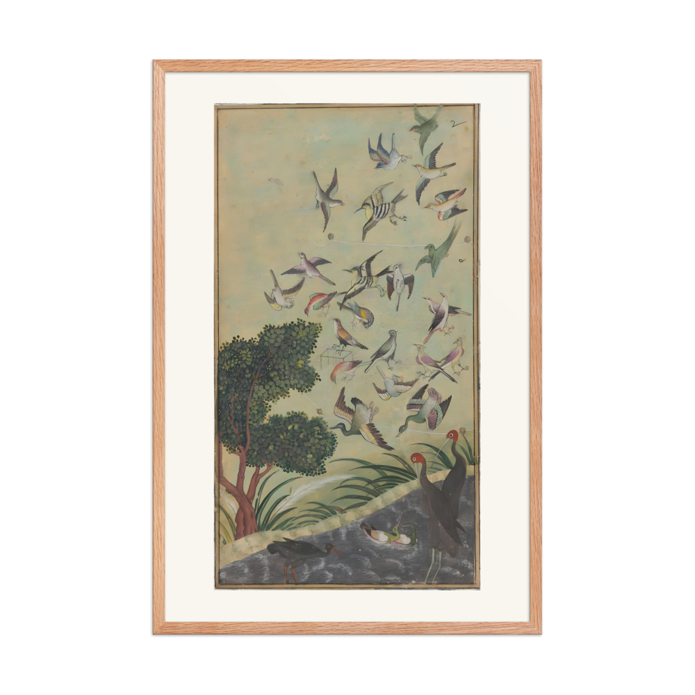 Birds at Baran — view 8