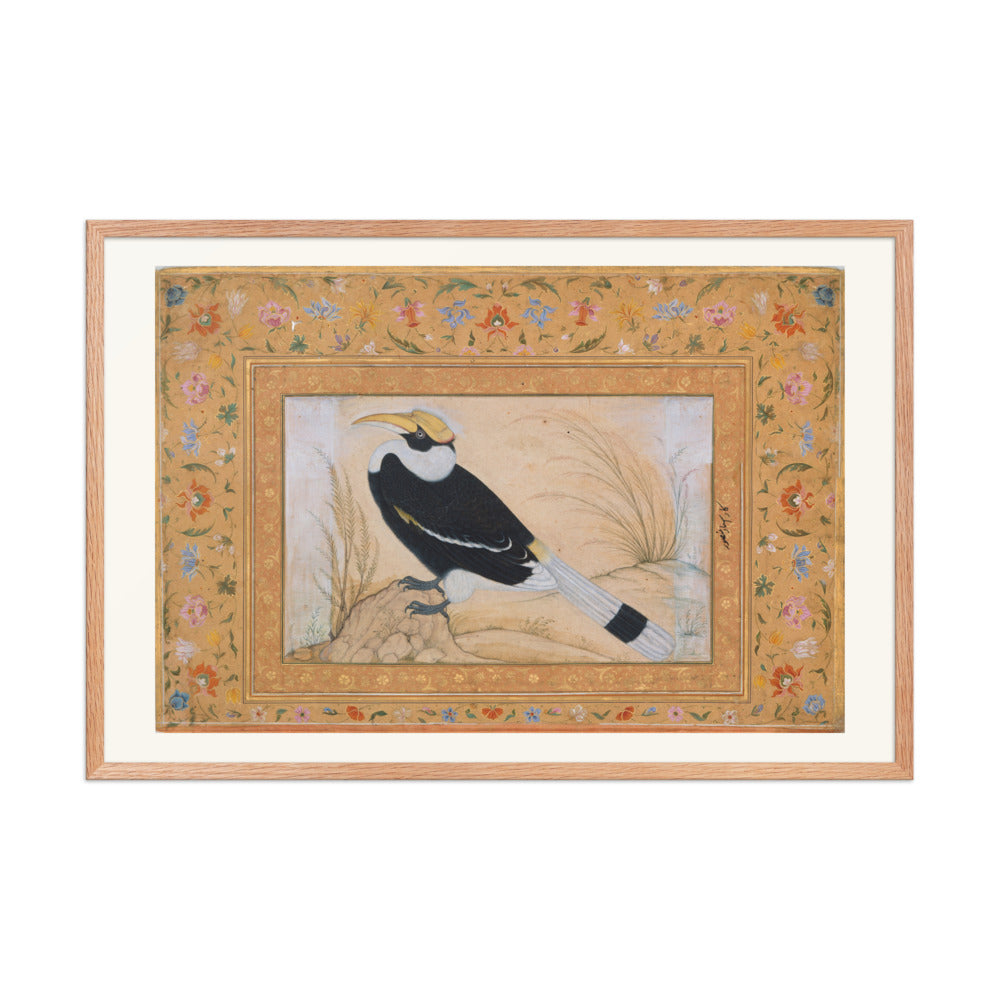 Great Hornbill, by Ustad Mansur | Restored Mughal Wall Art — view 9