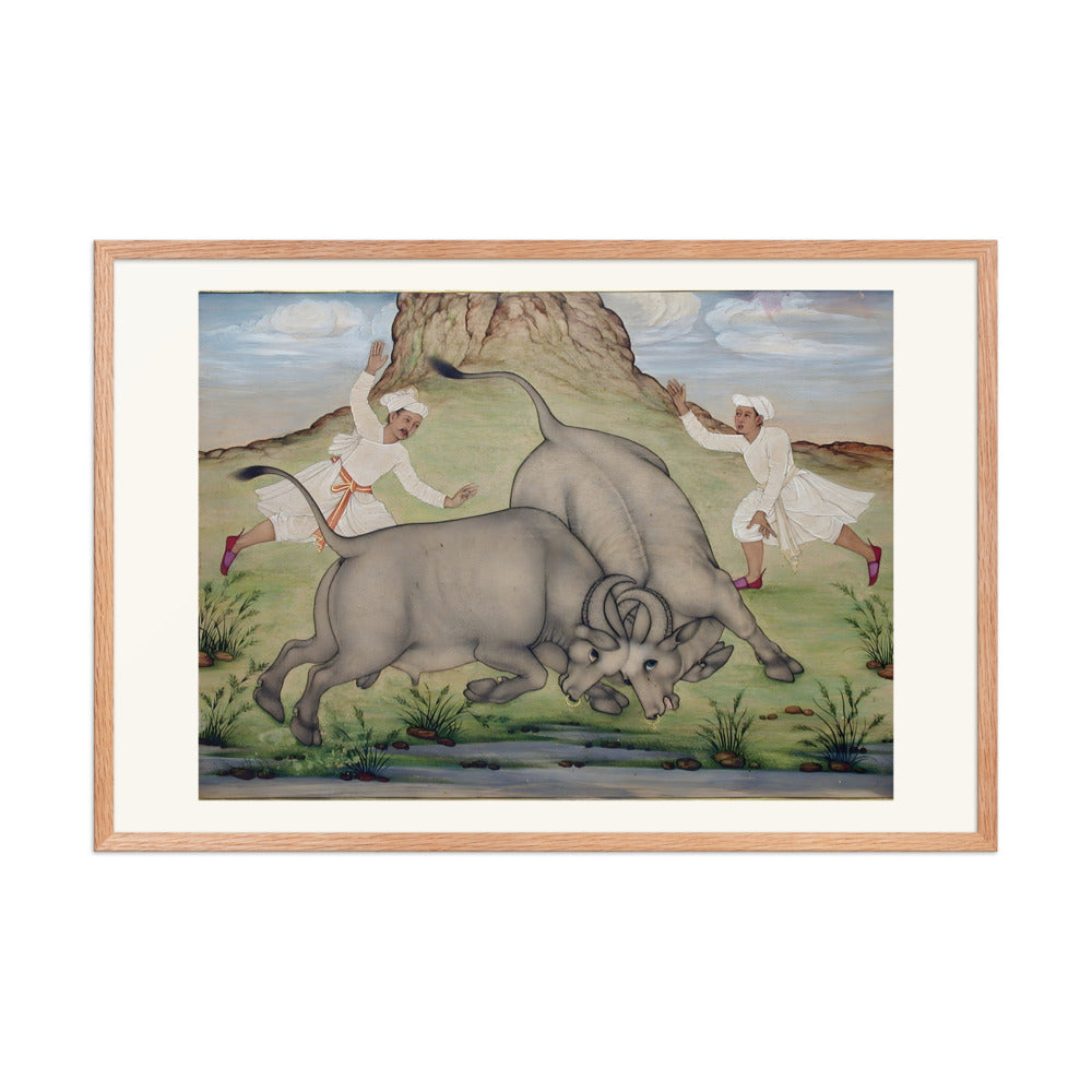 A Fight Between Two Buffalo — view 9