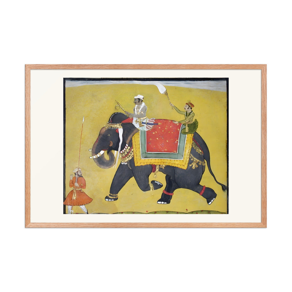 A raja riding an elephant — view 9