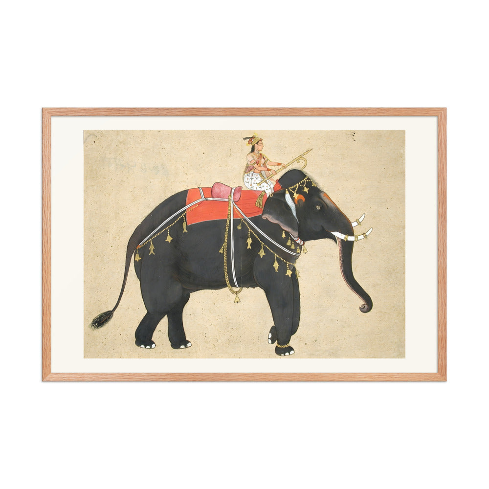 Elephant ridden by a female mahout — view 9