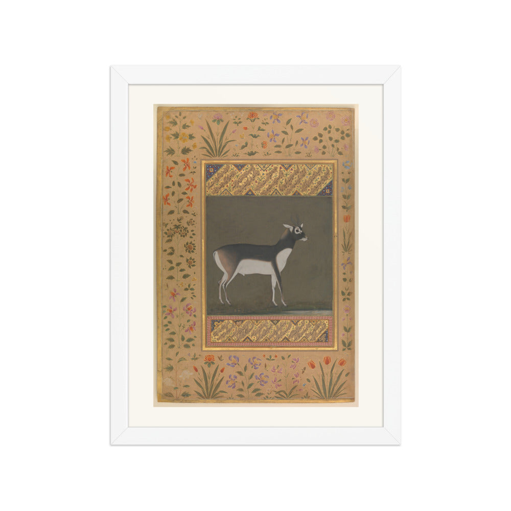Black Buck — Shah Jahan Album Folio | Restored Mughal Wall Art — view 6