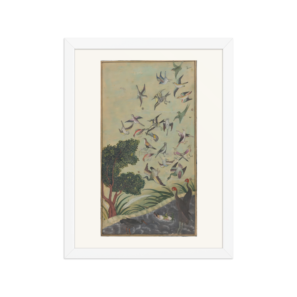 Birds at Baran — view 3