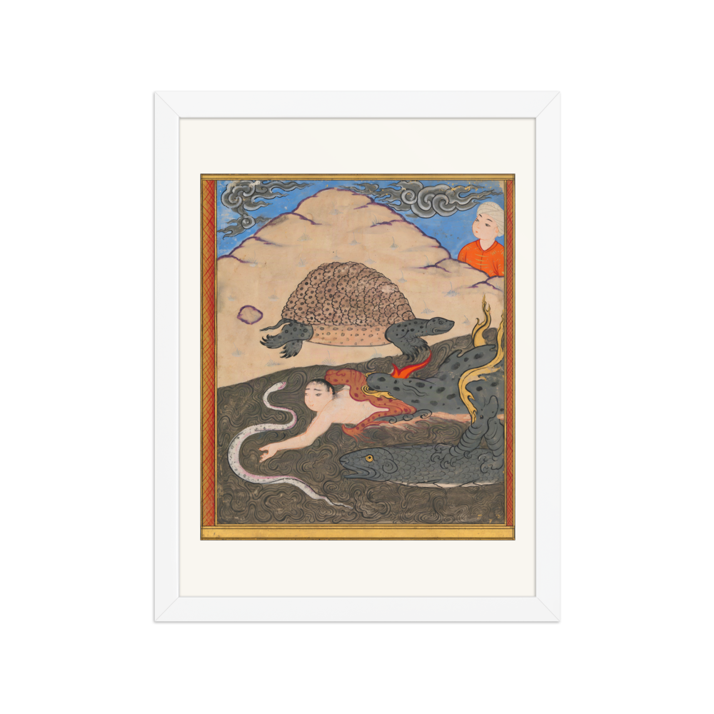 The Tortoise — Wonders of Creation — view 3