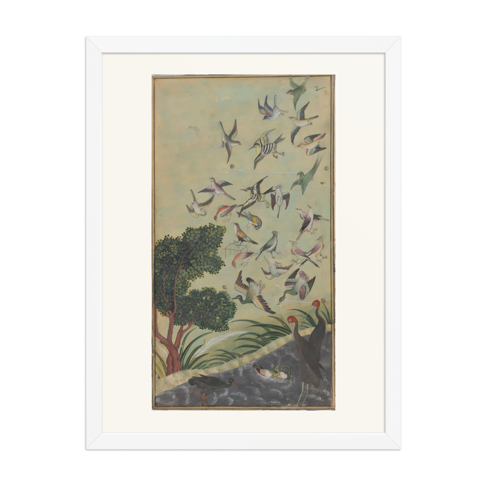Birds at Baran — view 6