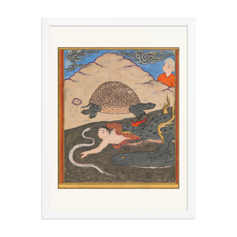 The Tortoise — Wonders of Creation — view 6