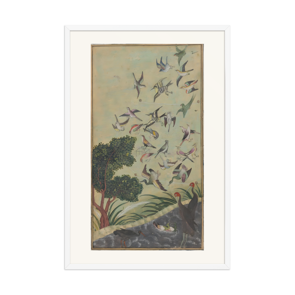 Birds at Baran — view 9