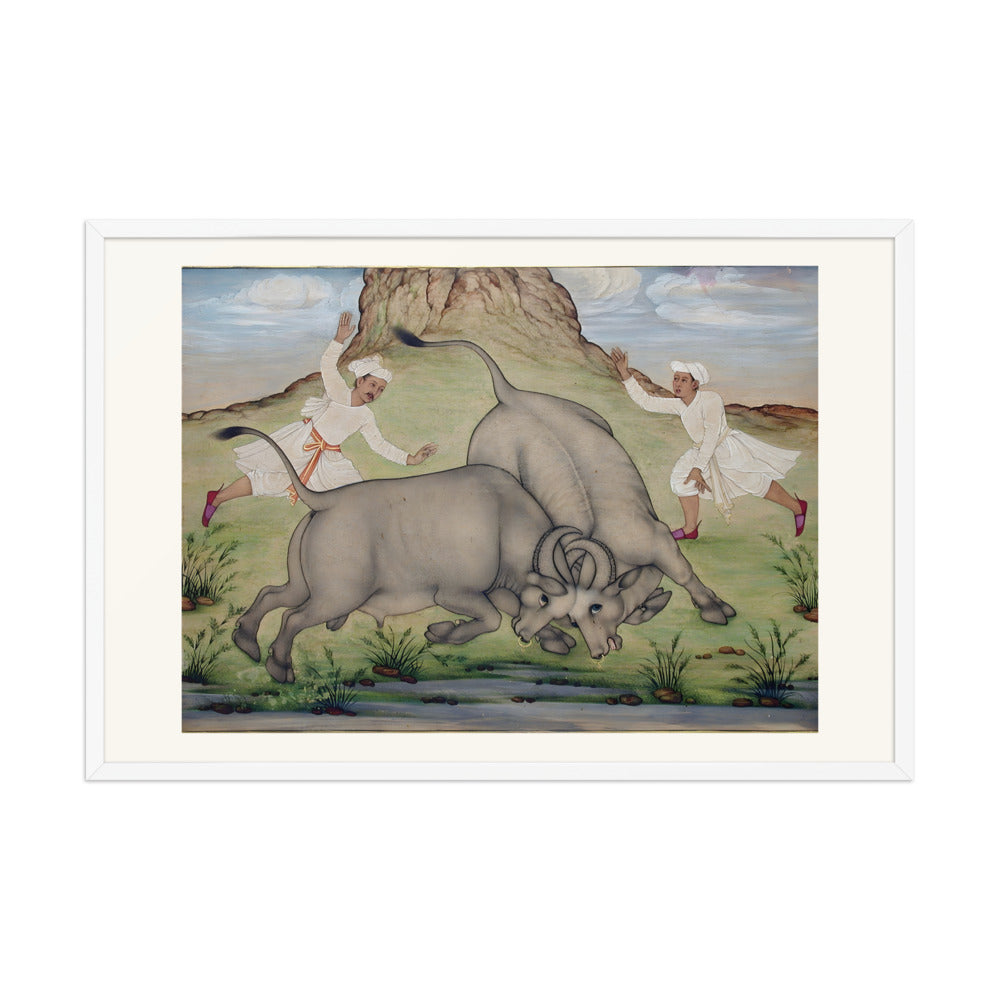 A Fight Between Two Buffalo — view 10