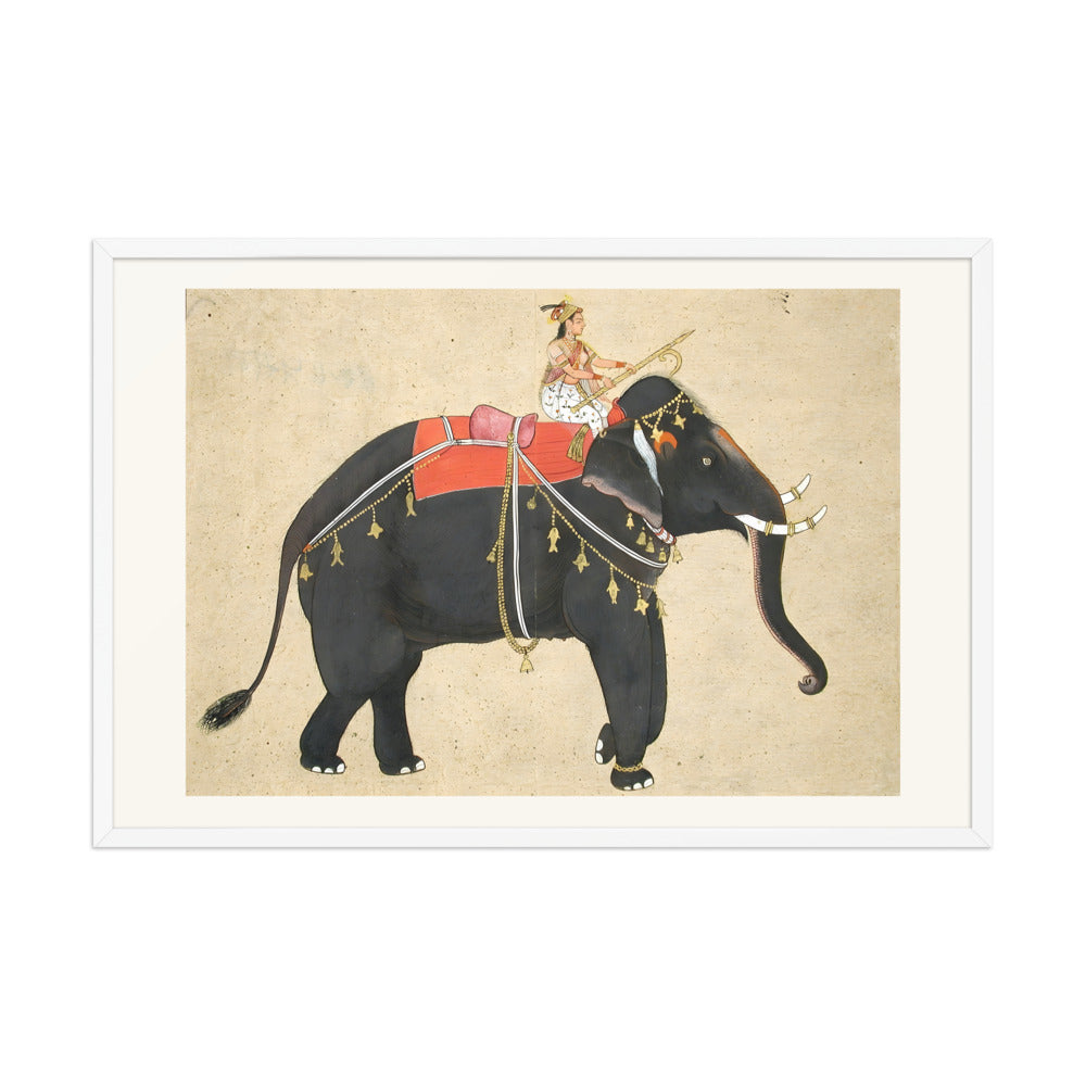 Elephant ridden by a female mahout — view 10
