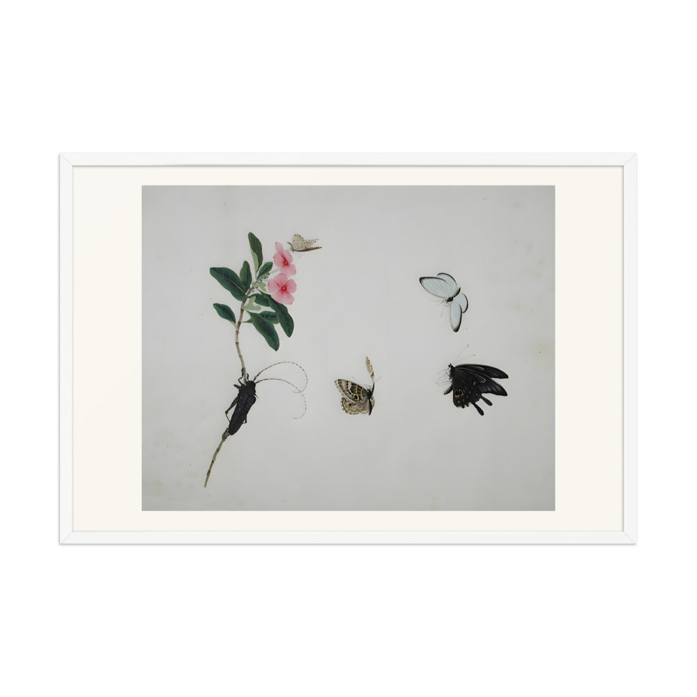 Flowering stalk with a beetle and three butterflies — view 10