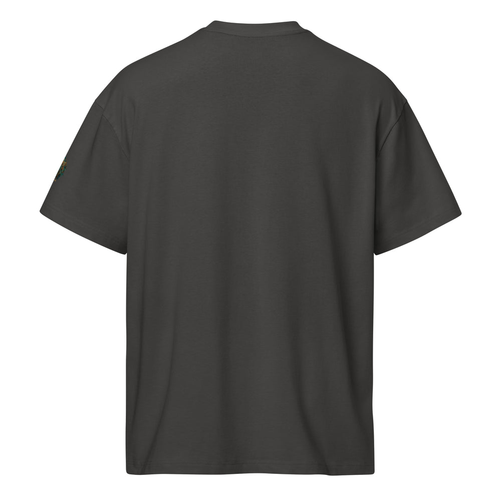 Aurah Living Mughal Miniature Oversized Box Tee — view 8