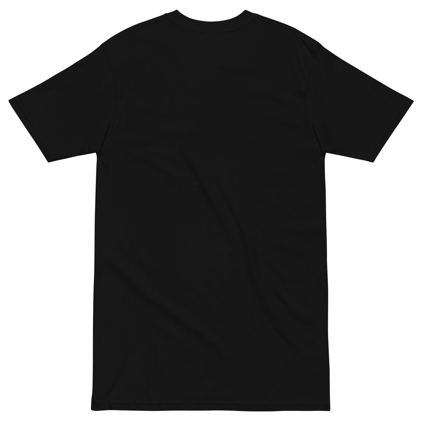 Men’s premium heavyweight tee — view 2
