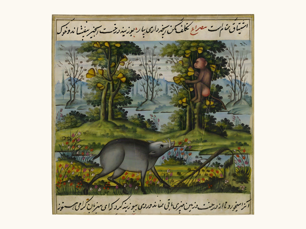 The Wild Boar Seizes the Monkey’s Fruit — Anvar-i Suhayli | Restored Qajar Painting — view 10
