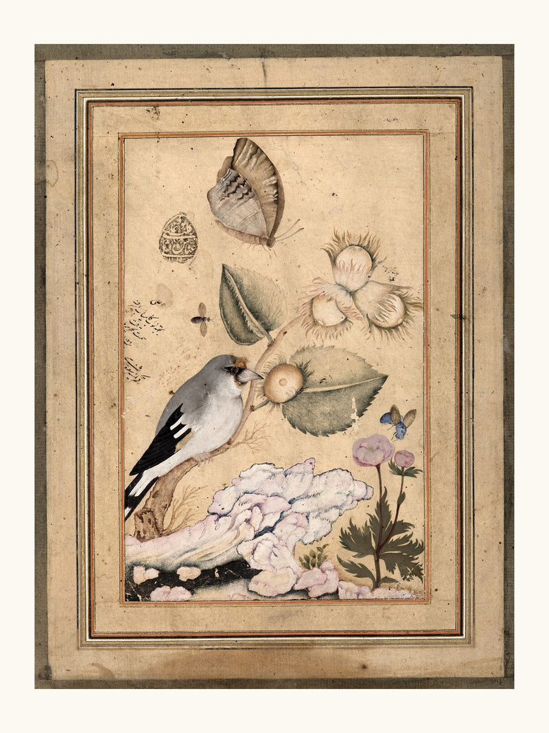 Rose and Nightingale, by Shafi Abbasi | Restored Qajar Painting