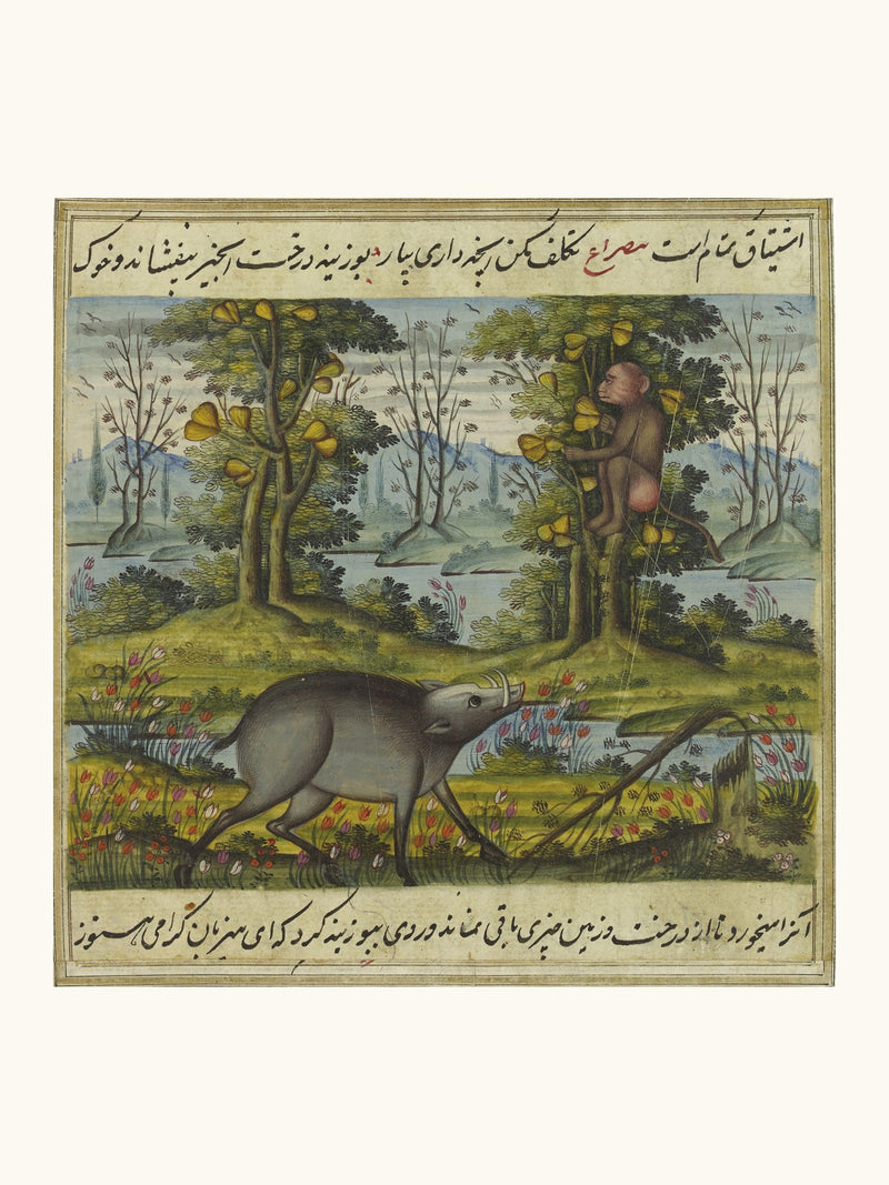 The Wild Boar Seizes the Monkey’s Fruit — Anvar-i Suhayli | Restored Qajar Painting