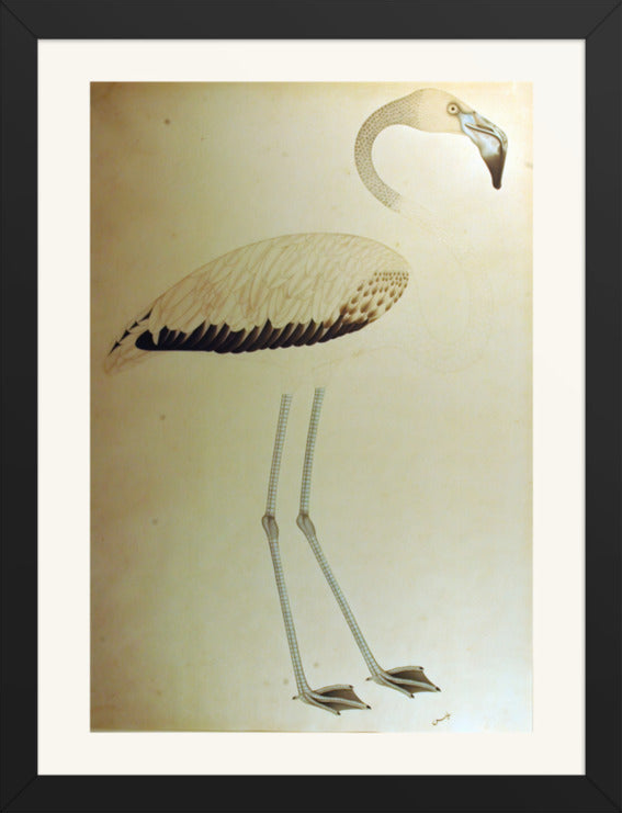 Study of a Flamingo — Restored Indian Court Wall Art — view 8