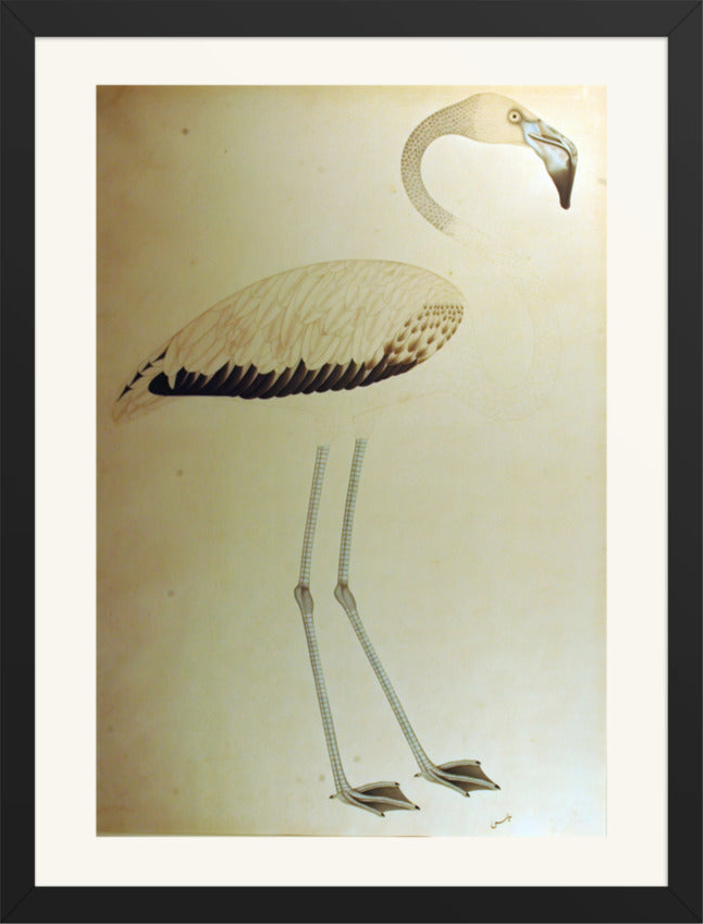 Study of a Flamingo — Restored Indian Court Wall Art — view 9