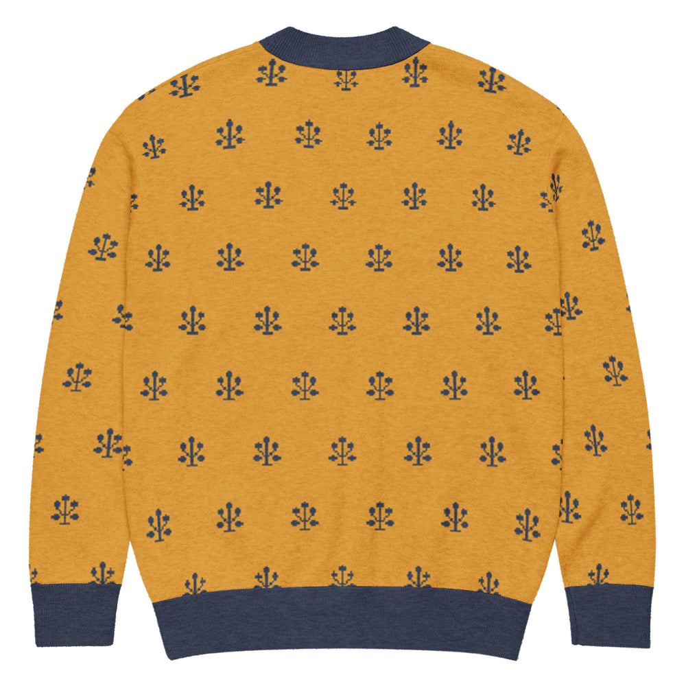 Jahangir — Saffron Buti Jacquard Knit Cardigan — view 20