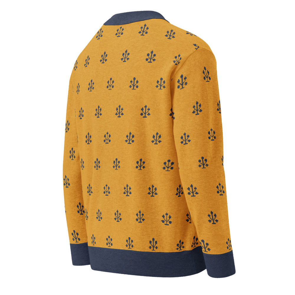 Jahangir — Saffron Buti Jacquard Knit Cardigan — view 18